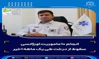 انجام ۱۰ ماموریت‌ اورژانسی سقوط از درخت طی یک‌ ماهه اخیر